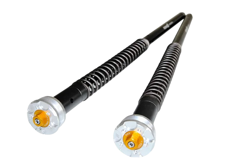Kit cartouche fourche ANDREANI Misano EVO 2 - Yamaha MT-09 - Image 1